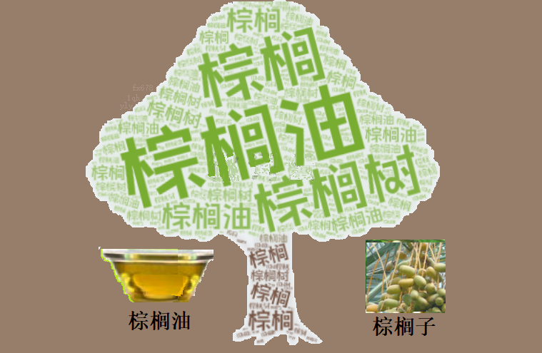 棕榈油三连涨终结！多头撤退还是空头伏击？关键支撑4170林吉特面临考验